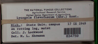 Image Associated With the Occurence
